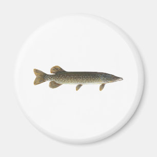 Northern Pike Magnet