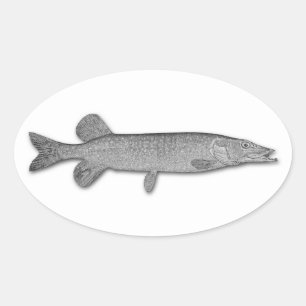 Northern Pike Oval Sticker