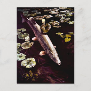 Northern Pike Postcard