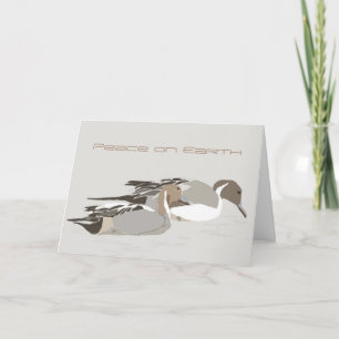 Northern Pintail Ducks Card