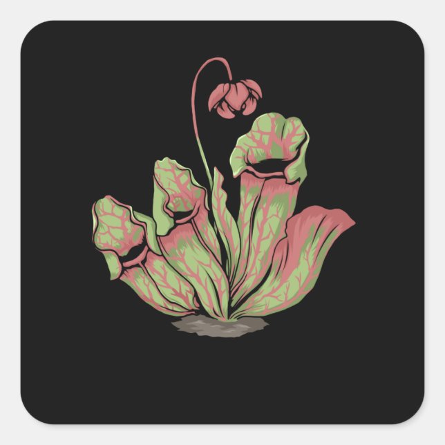Northern Pitcher Carnivorous Plants Sarracenia Square Sticker (Front)