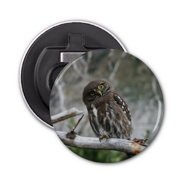 Northern Pygmy Owl Bottle Opener (Front)