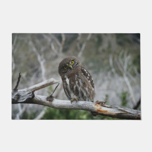 Northern Pygmy Owl Doormat