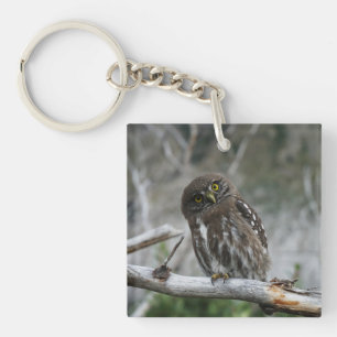 Northern Pygmy Owl Key Ring