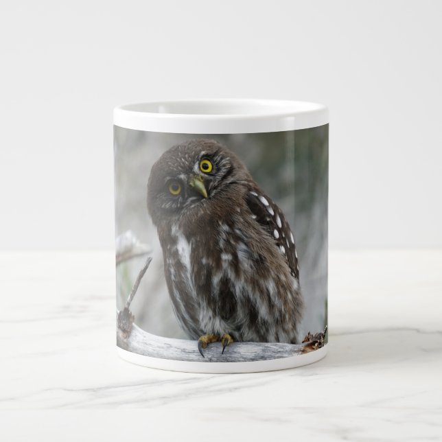 Northern Pygmy Owl  Large Coffee Mug (Front)