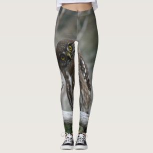 Northern Pygmy Owl Leggings