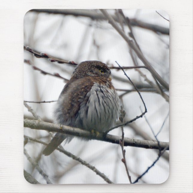Northern Pygmy Owl Mouse Pad (Front)