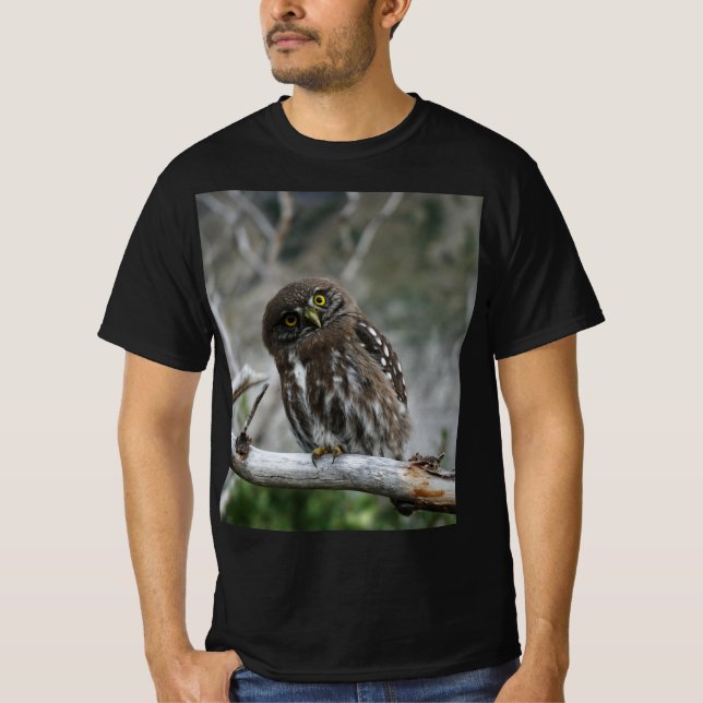 Northern Pygmy Owl T-Shirt (Front)