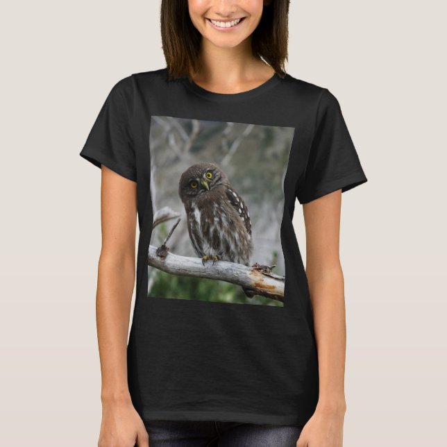 Northern Pygmy Owl T-Shirt (Front)