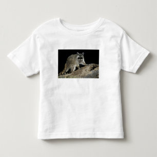 Northern Racoon, Procyon lotor Toddler T-Shirt