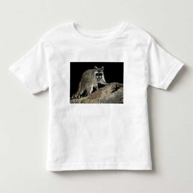 Northern Racoon, Procyon lotor Toddler T-Shirt (Front)