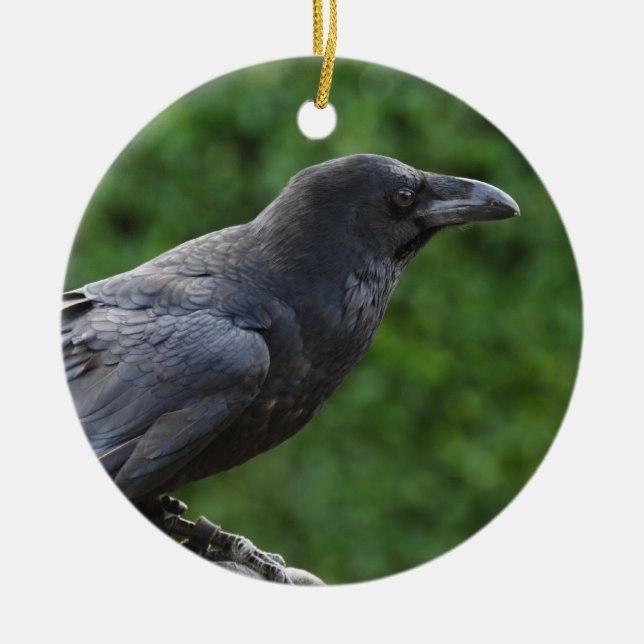 Northern Raven Ceramic Tree Decoration (Front)