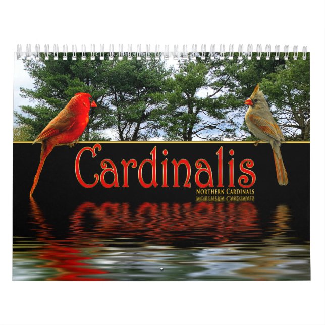 Northern Red Cardinals Cardinalis Beautiful Photos Calendar (Cover)