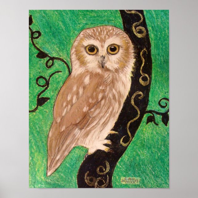 Northern Saw Whet Owl by artist Carol Zeock Poster (Front)