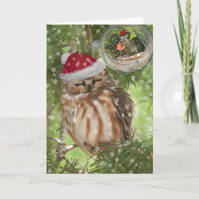 Northern Saw-whet Owl Christmas Holiday Card (Front)
