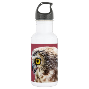 Northern Saw-Whet Owl Portrait 532 Ml Water Bottle