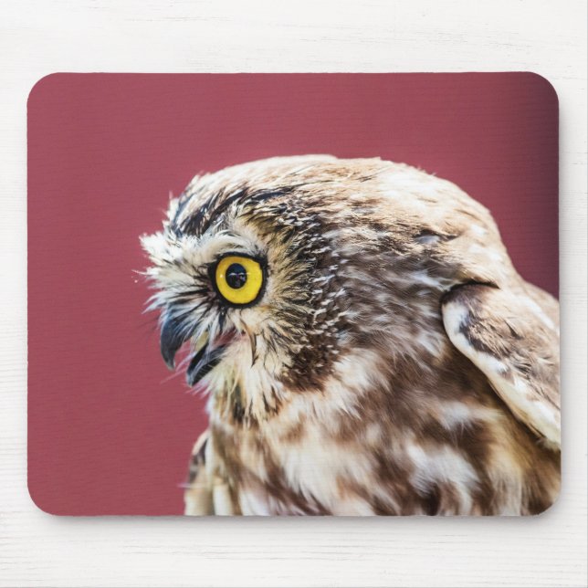 Northern Saw-Whet Owl Portrait Mouse Pad (Front)
