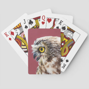 Northern Saw-Whet Owl Portrait Playing Cards
