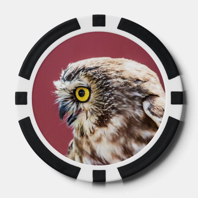 Northern Saw-Whet Owl Portrait Poker Chips (Front)