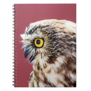 Northern Saw-Whet Owl Portrait Spiral Notebook