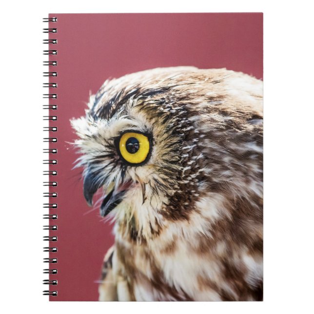 Northern Saw-Whet Owl Portrait Spiral Notebook (Front)