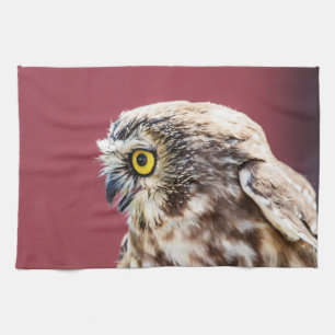 Northern Saw-Whet Owl Portrait Tea Towel