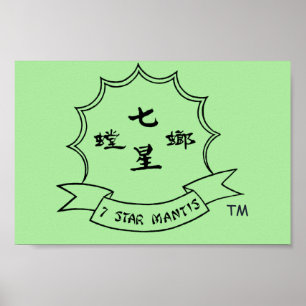 Northern Shaolin 7 Star Praying Mantis Poster 2