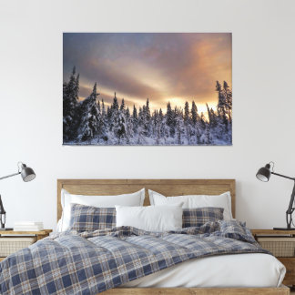 Northern Sky Canvas Print