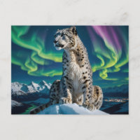 “Northern Sky Wanderer” – Snow Leopard Portrait