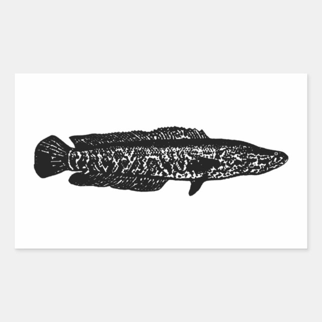Northern Snakehead Rectangular Sticker (Front)
