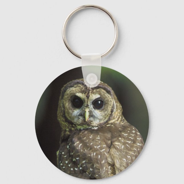 Northern Spotted Owl Key Ring (Front)