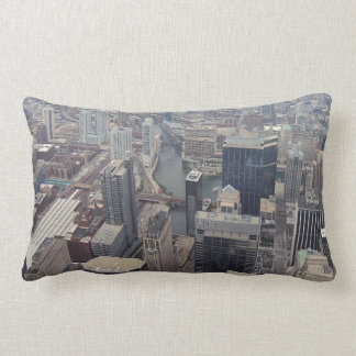 Northern View Of Chicago From Willis Tower Lumbar Cushion