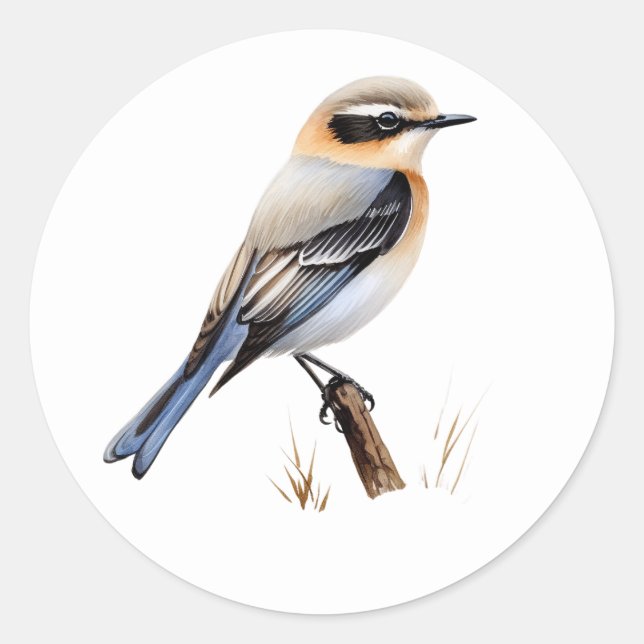 Northern Wheatear Songbird Stickers (Front)