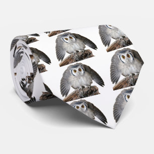 “Northern White-faced Owl” Tie