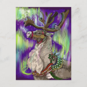 Northern Wonders PostCard