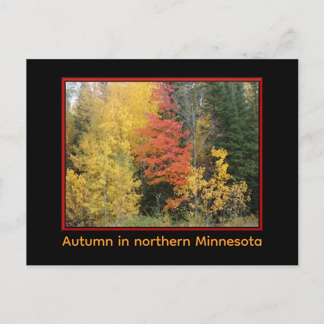 Northland in Autumn Postcard (Front)