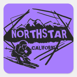 Northstar California purple ski logo stickers