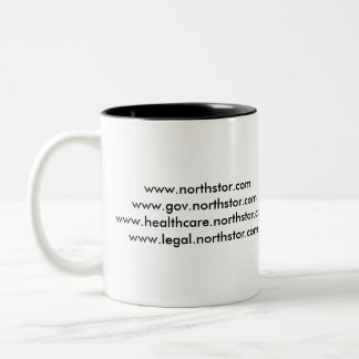 Northstor mug v2
