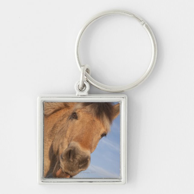 Northumberland, England 2 Key Ring (Front)