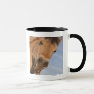 Northumberland, England 2 Mug
