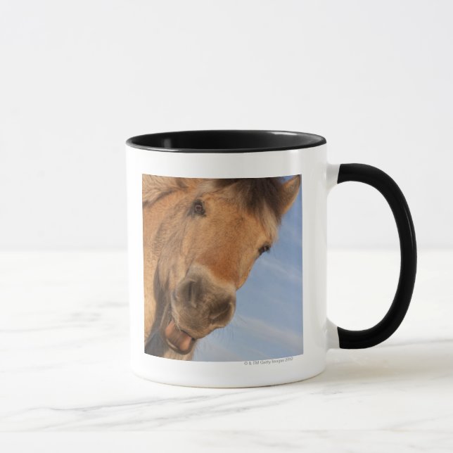Northumberland, England 2 Mug (Right)