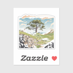 Northumberland National Park Sycamore Gap Tree