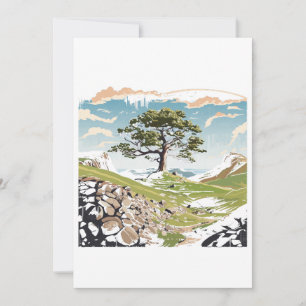 Northumberland National Park Sycamore Gap Tree Invitation