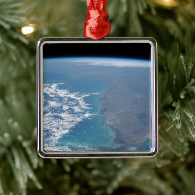 Northward The Florida Peninsula. Metal Tree Decoration (Tree)