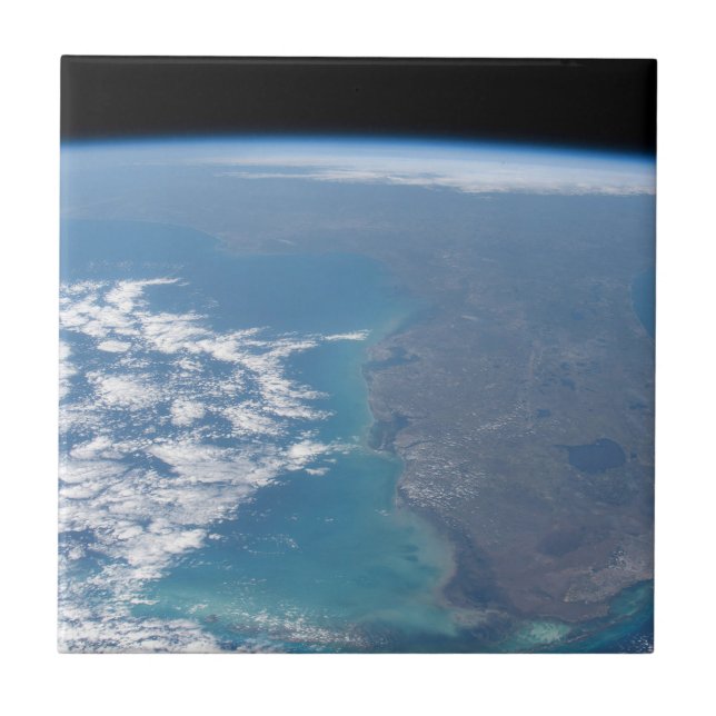 Northward The Florida Peninsula. Tile (Front)