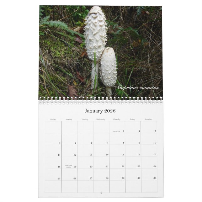 Northwest Mushroom Calendar 2010 (Jan 2026)