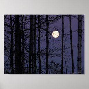 Northwoods Moon. Poster