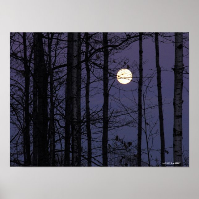 Northwoods Moon. Poster (Front)