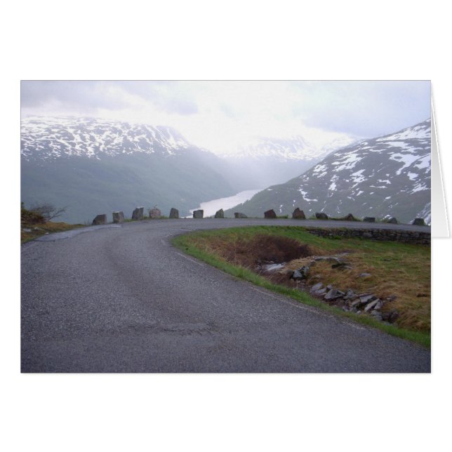 Norway 2008 safety railing (Front Horizontal)