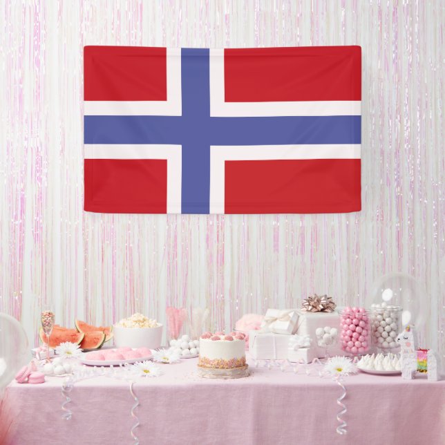 Norway flag banner (Party)